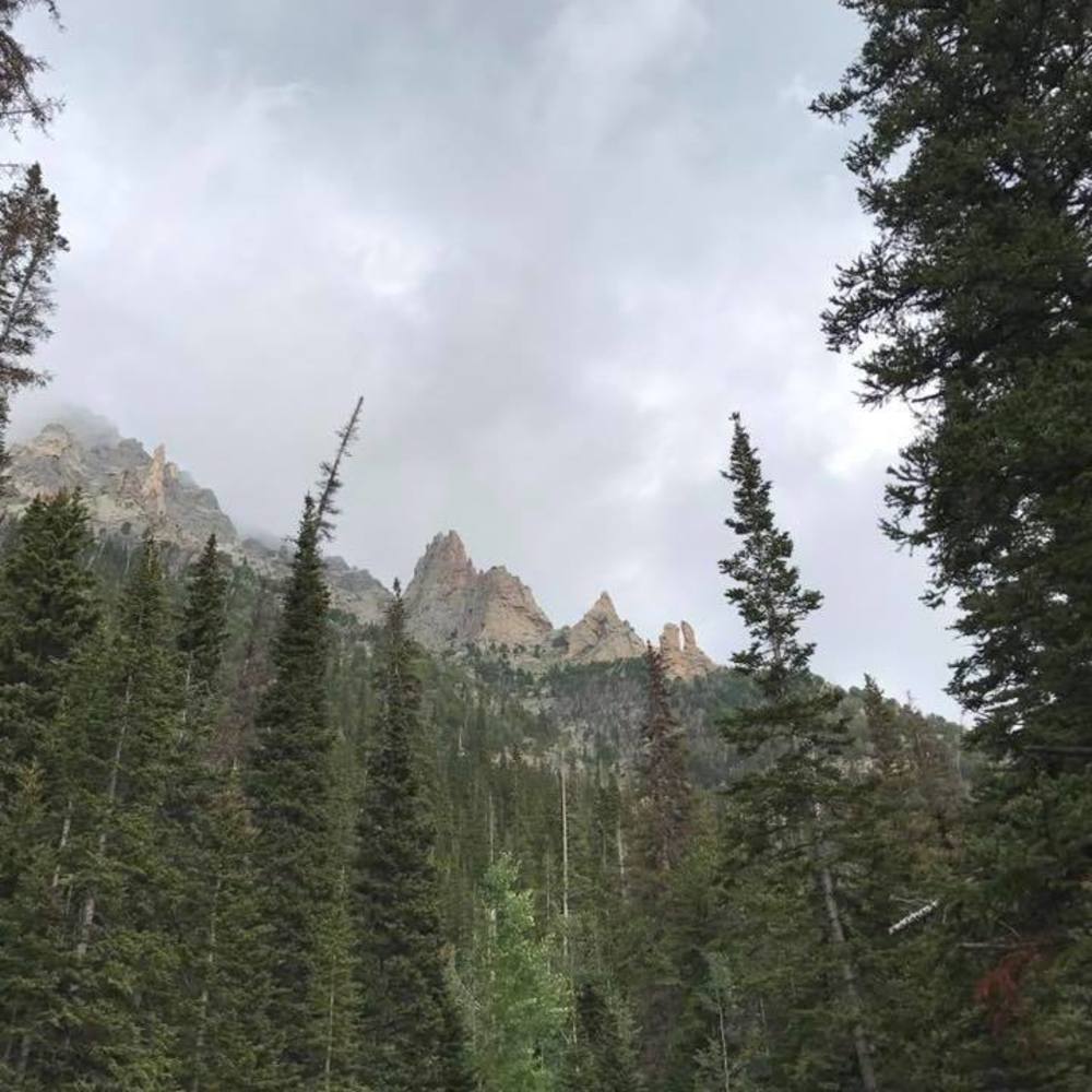 Meet your Posher, Marlo